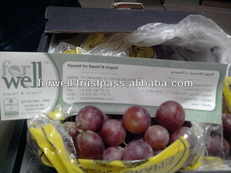 fresh grapes ( red - green - white ) ( seedlees - seeded )