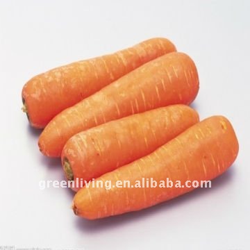 Organic Bulk Carrots For Market