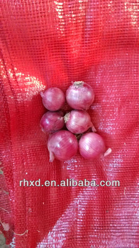 2013 Red onion/yellow onion