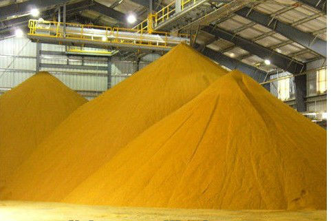 NON-GMO Poultry feed Corn gluten meal
