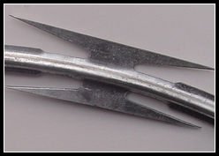 galvanized-razor-wire-5.jpg