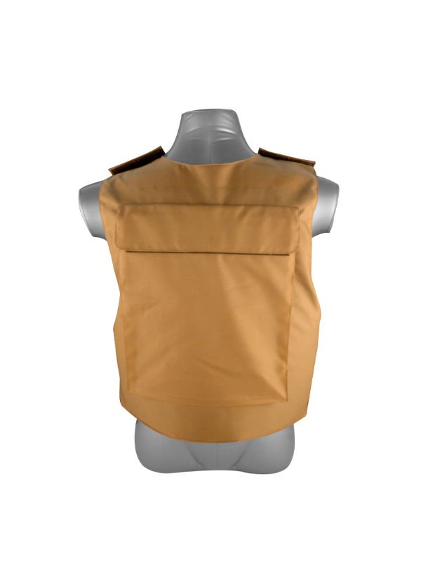 BV001-BACK