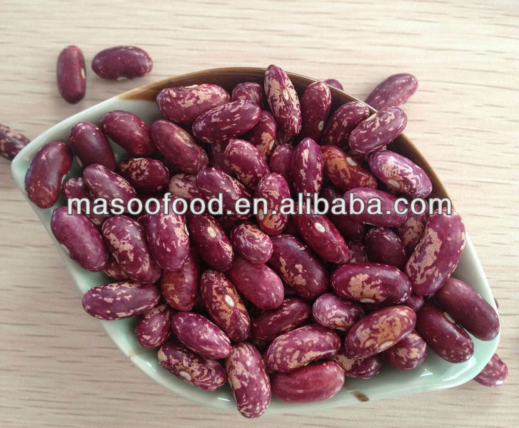 New 2013 Crop Export dry long PSKB - Purple Speckled Kidney Beans from China