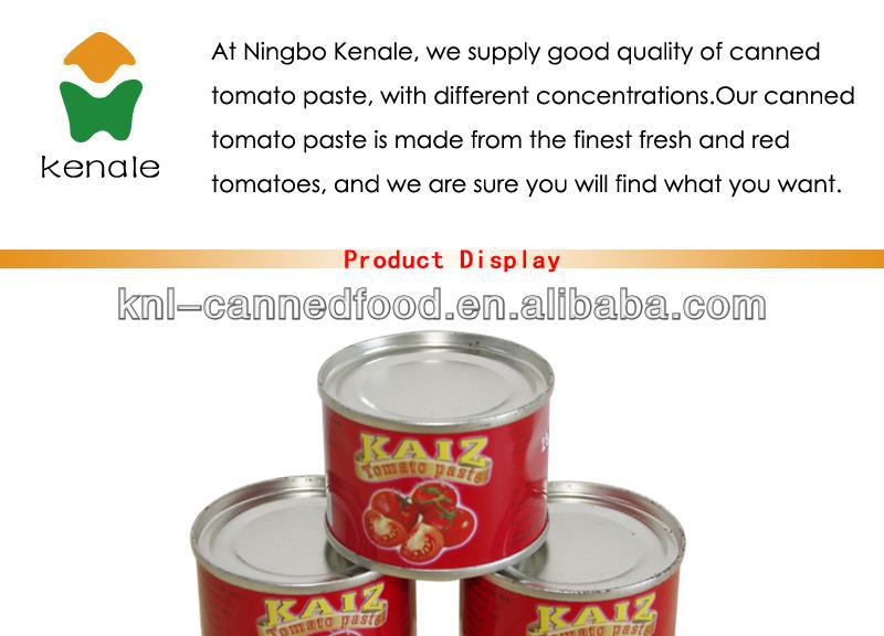 High quality italian tomato paste 4500gX6tins