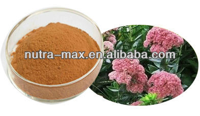 100% Natural 1%~4% Rosavin Rhodiola Rosea Powder Extract--NutraMax Supplier
