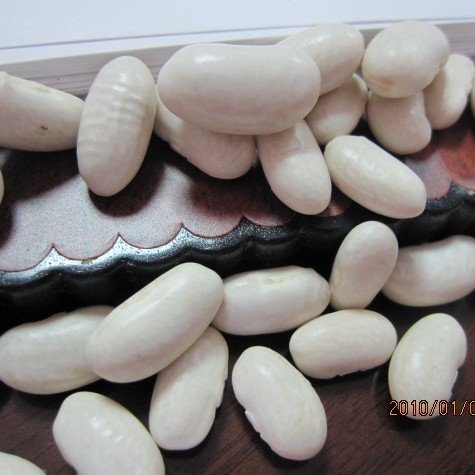 all size Japanese white kidney bean