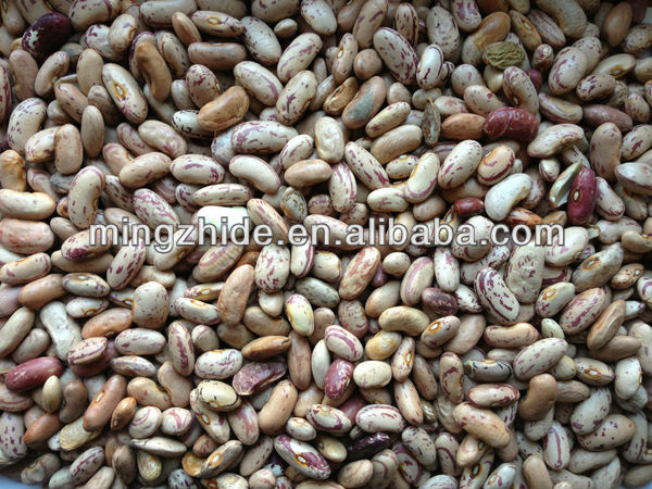 green mung beans specification