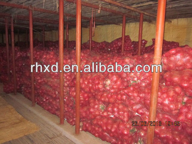 fresh red onion price from china exporters