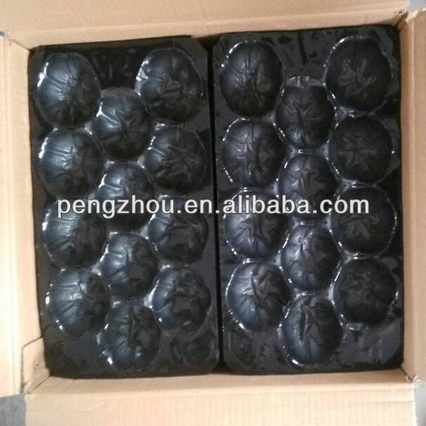 China customed pp plastic food tray