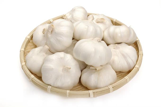 Fresh White Garlic/Sharp Taste/Nutritious (Low Price)