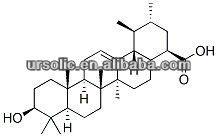 Organic Loquat Leaf Extract Ursolic Acid