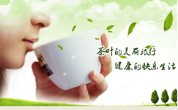 Top grade Yunnan Golden buds High mountain Organic black tea