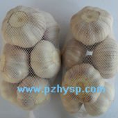 Garlic price from China (the mostcompetitive price)