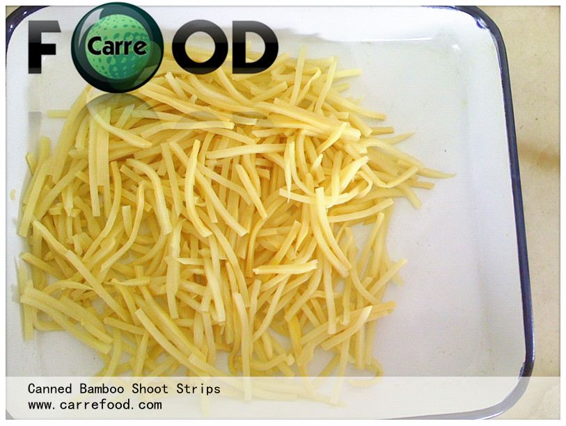 Choice bamboo shoots for low price canned bamboo shoots with good tasted bamboo shoots sliced