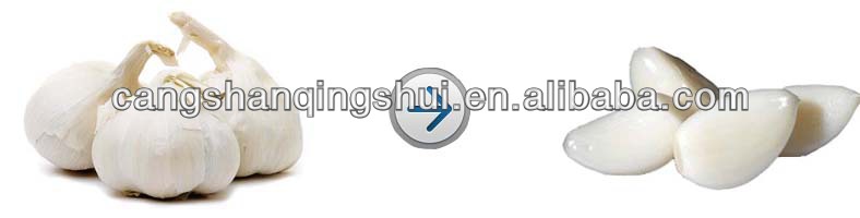 frozen iqf peeled garlic price for sale