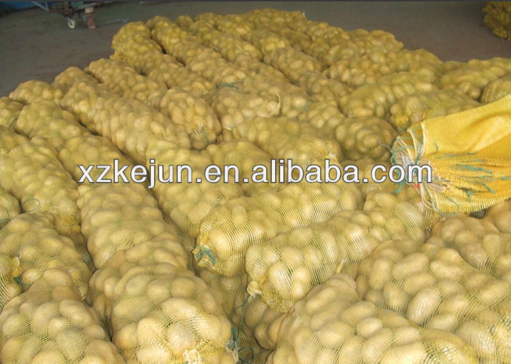 Fresh Holland potato with best quality