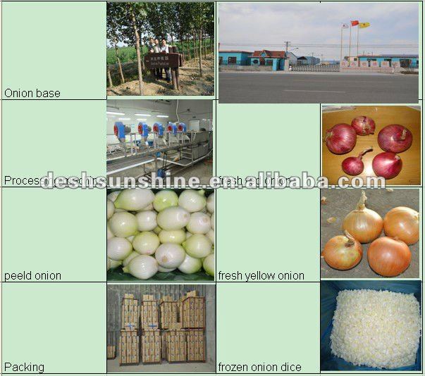 2012 New crop small onion(good quality,cheap price)