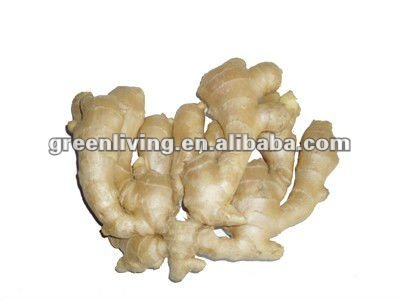 air -dry ginger in china ,china ginger specifications (150g)