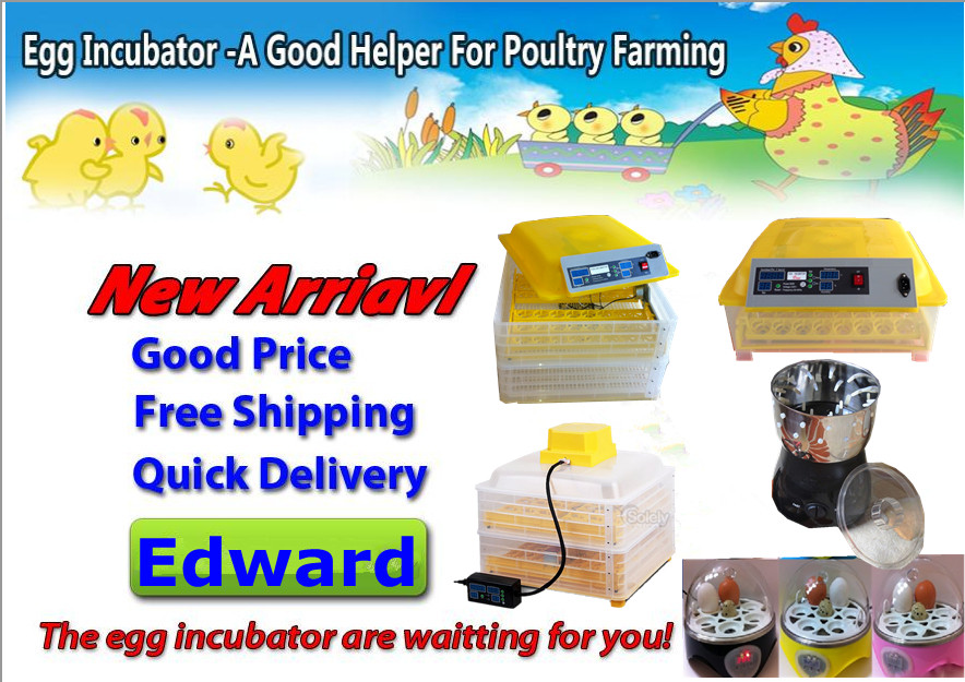  Eggs Automatic Egg Incubator for Chicken\Duck\Goose\Turkey\Quail\Bird