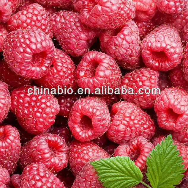 2014 New Raspberry Ketone