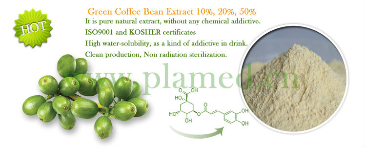 white tea extract,100% pure green tea extract,green tea powder extract