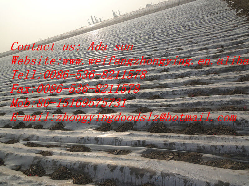 carrot,fresh carrot processing black carrot juice concentrate with good quality from china