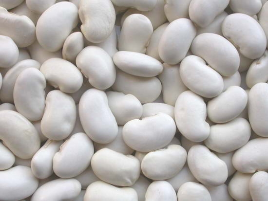 all size Japanese white kidney bean