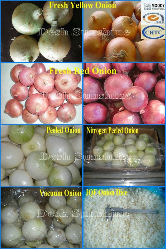 Selling top quality types of fresh onions