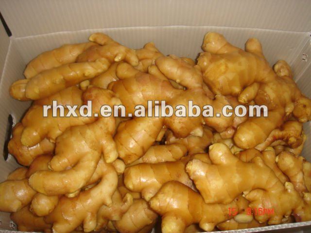 2013 chinese fresh ginger on farm for sale best price