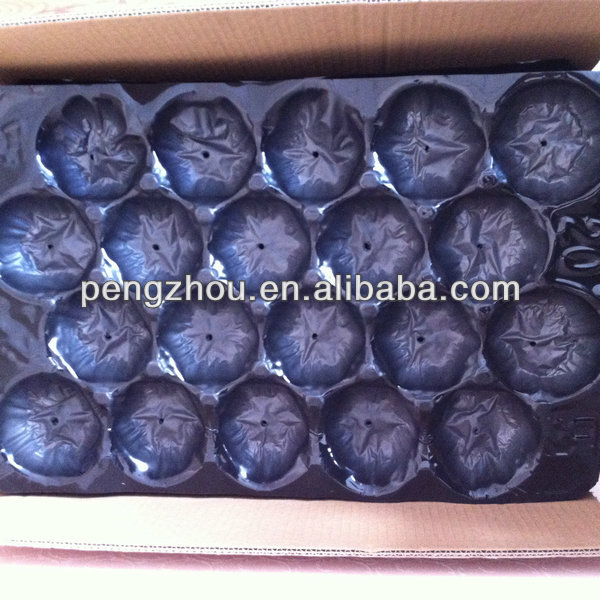 China customed pp plastic food tray