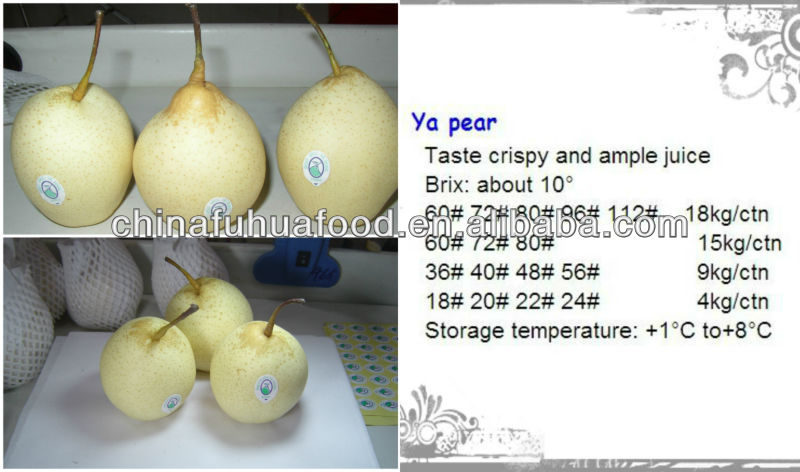 fresh pear ya pear