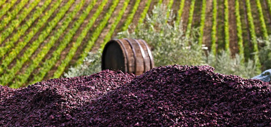 Chianti Classico Riserva wine rosso (Euro 7,00) collection Italian Wine