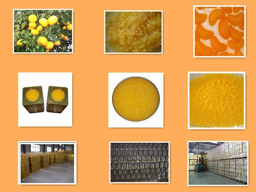 pomelo pulp grapefruit pulp pomelo sacs