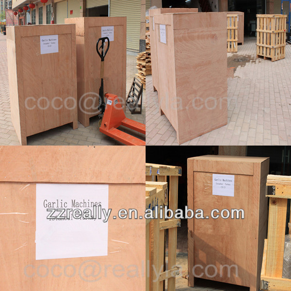 Bubble Vegetable and fruit cleaning machine processing line