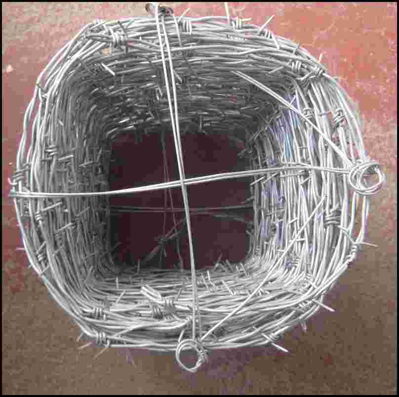 barbed wire111111.jpg