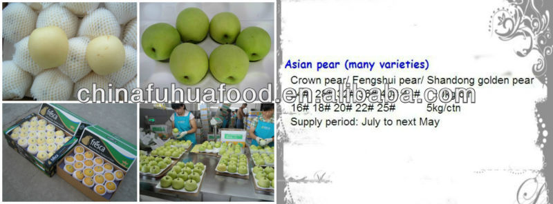fresh pear ya pear