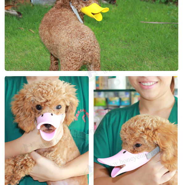 エコ- フレンドリーなペットの犬の製品のためのゴム犬の銃口問屋・仕入れ・卸・卸売り