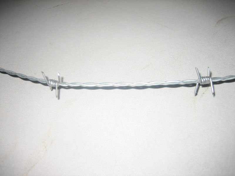 barbed wire 0111