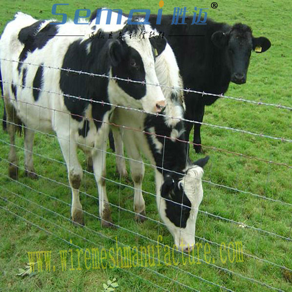高品質の安いiso9001: 2008認定亜鉛メッキフェンス、 牛のフェンス、 農場のフェンス問屋・仕入れ・卸・卸売り