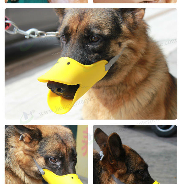 エコ- フレンドリーなペットの犬の製品のためのゴム犬の銃口問屋・仕入れ・卸・卸売り