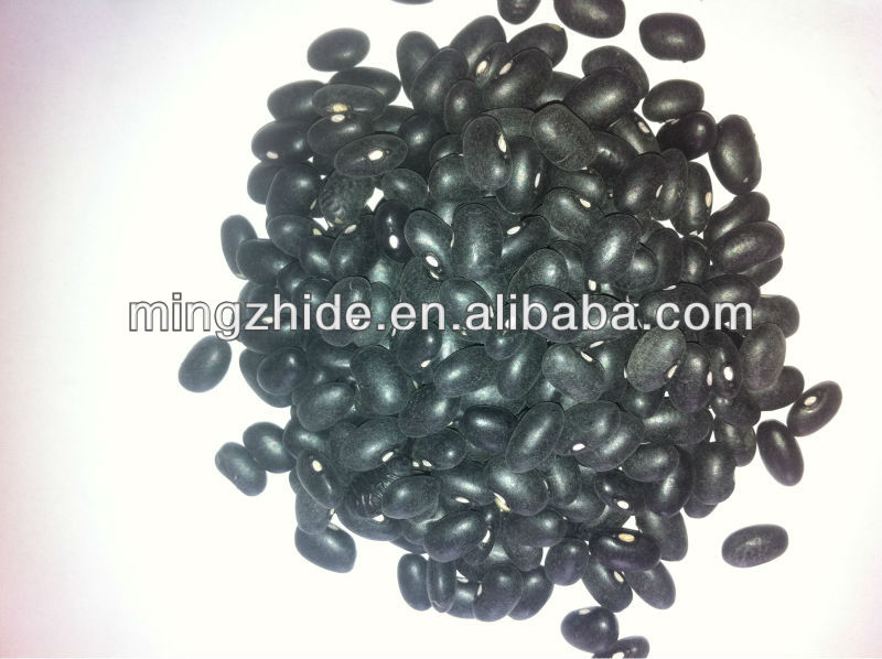 black bean with green inside