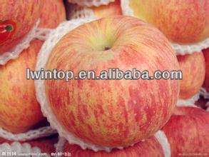 Fresh Apple from Iran