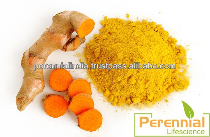 Natural Indian Turmeric Extract 95%/ Organic Turmeric Powder 95%