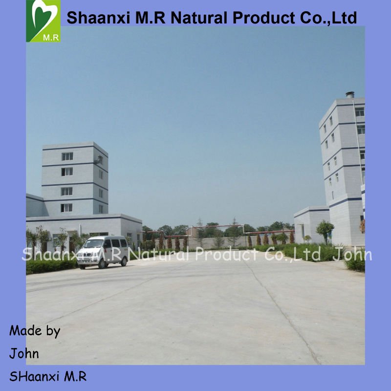 Top Quality Saffron Extract Powder