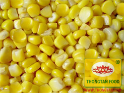 Sweet_corn.jpg