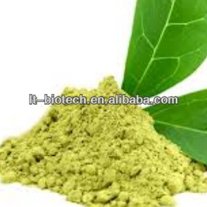 Green Tea Extraction Polyphenols Powder 50%-98%/EGCG/Gallate