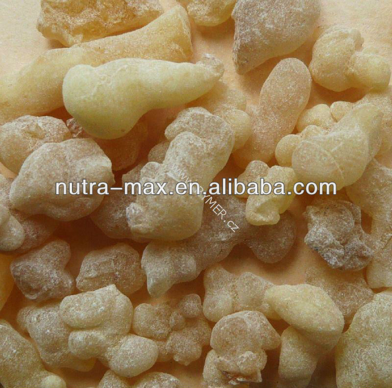 NutraMax Supplier - Boswellia Serrata Extract Boswellic Acid 65%