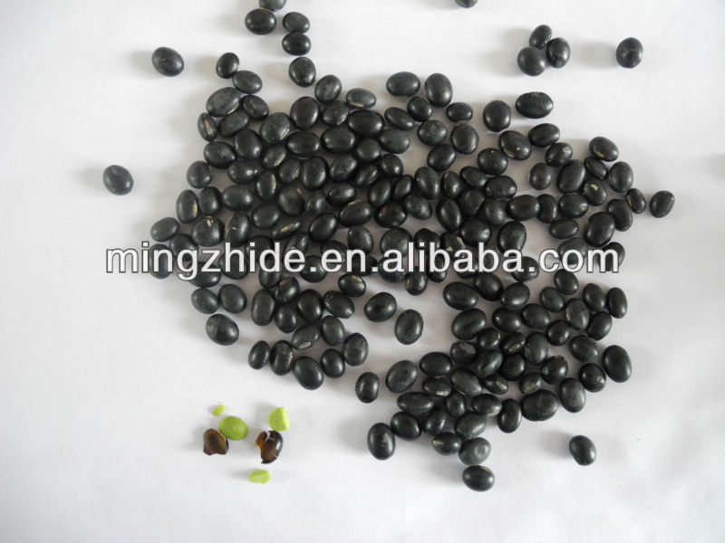 black bean with green inside