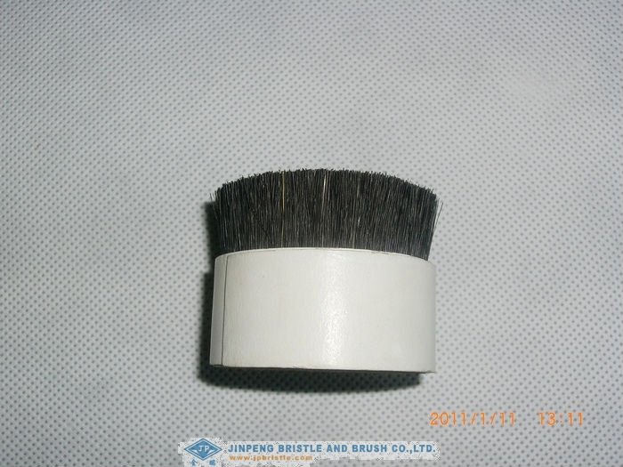 cut root pig bristles used for shoe brush and hair brush