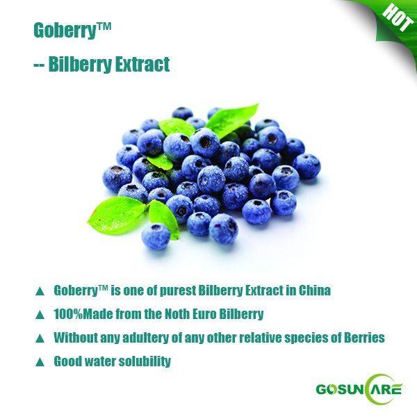 blueberry extract bulk